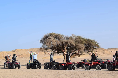Marsa Alam: Stargazing on the Beach with 4-Ride Safari
