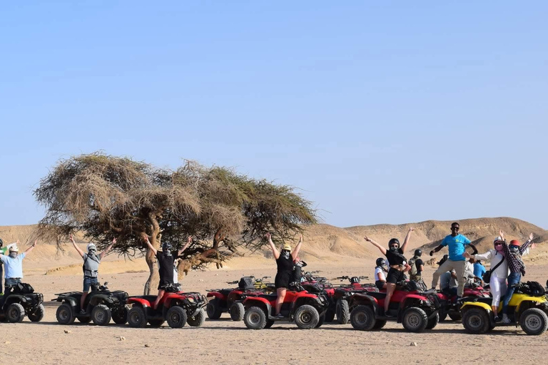 Marsa Alam: Stargazing on the Beach with 4-Ride Safari