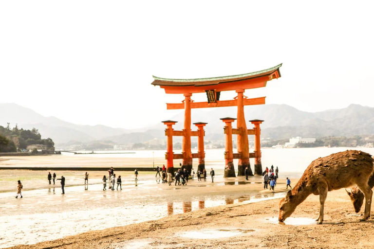Tokyo: 8-Day Tour with Fuji, Kyoto, Nara, Hiroshima & Osaka Day 8 - Osaka Highlights (Spanish)