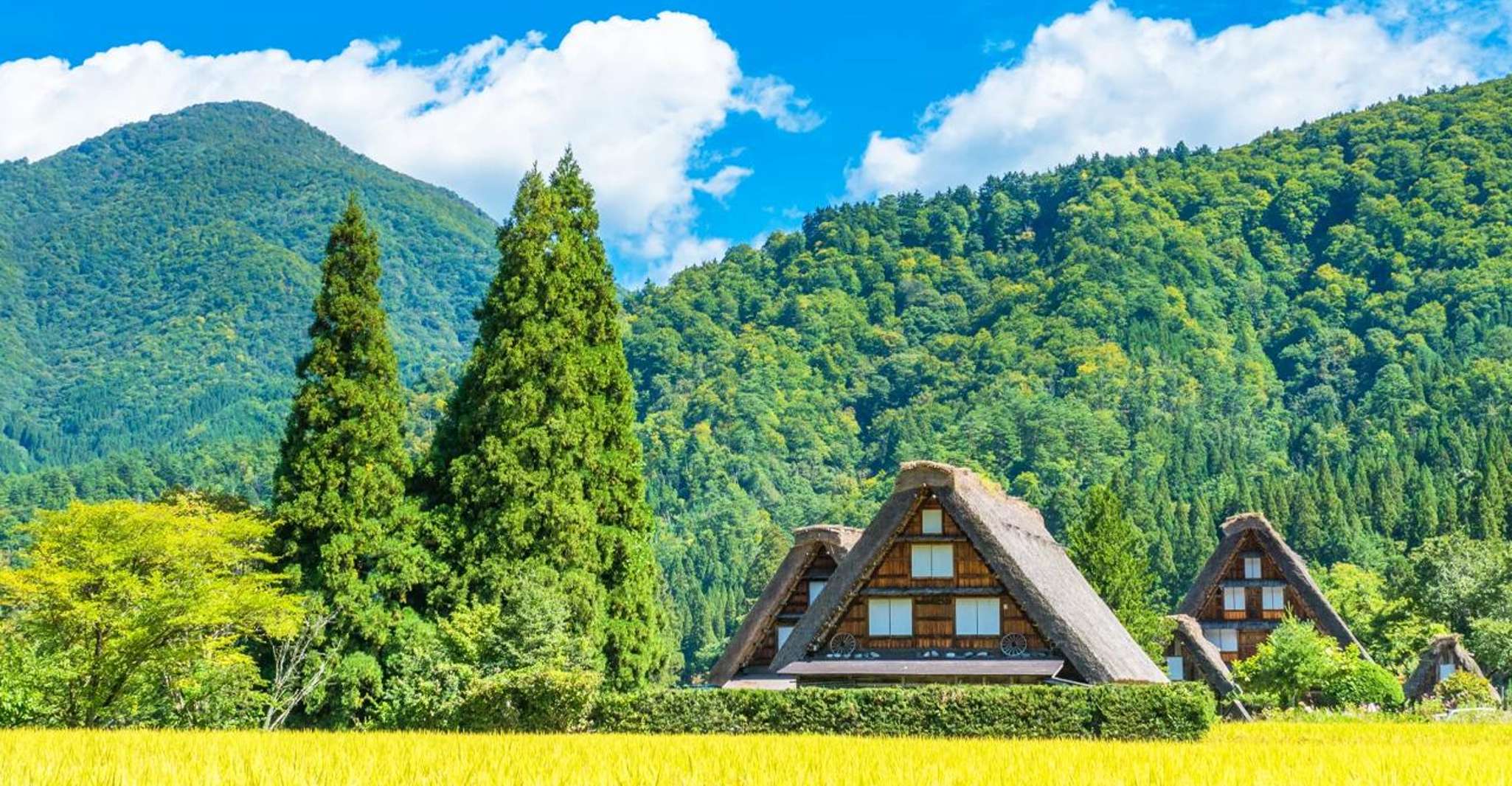 Hida Takayama, Shiragawago UNESCO full-day tour from Nagoya - Housity