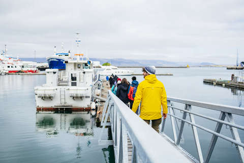 Reykjavik: Lunnefågelskådning med båt