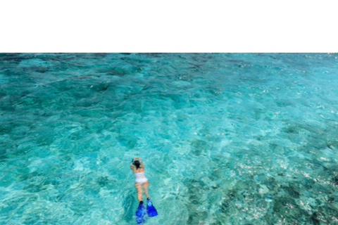 West End Bahamas: Guided Snorkeling Tour