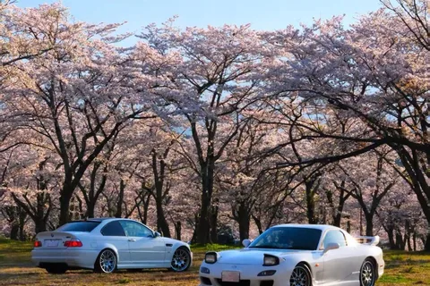 Tokyo Daikoku PA Local Speed Tour Tuned JDM,RX7,GTR,LC500,M5