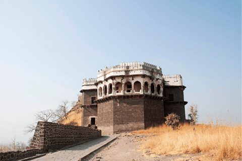 Full Day Trip Ellora Caves & Daulatabad Fort from Aurangabad