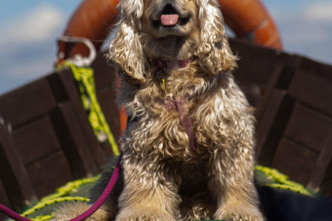 Albufera: Sunset and visit to the barrack