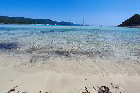 Zadar : Baie de Sakarun, grotte de Golubinka et excursion en bateau à moteur Veli Žal