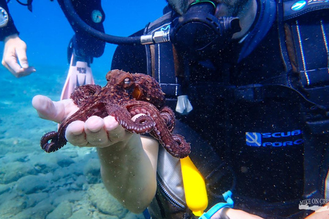 Agia Pelagia: nurkowanie dla dzieci