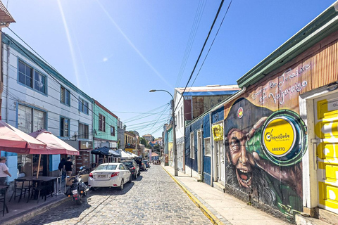 Private Day Tour City Valparaíso & Viña del Mar