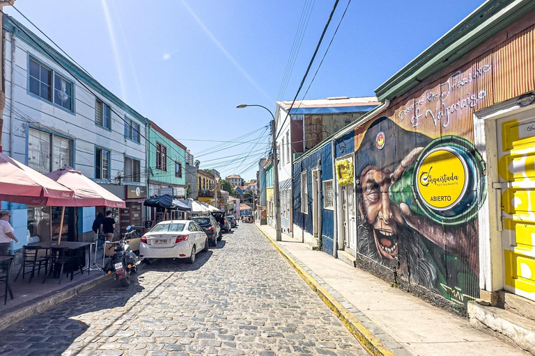 Private Day Tour City Valparaíso & Viña del Mar