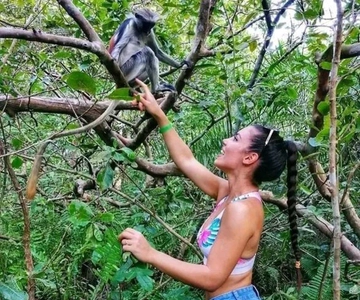 Zanzibar: Red Colobus Monkeys in Jozani Forest Guided Tour