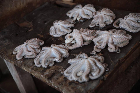 Zanzibar: Private Spice tour &amp; Prison Island &amp; Stone town