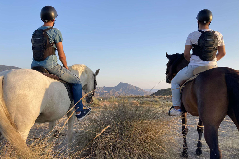 Hurghada: Rode Zee &amp; Woestijn Paardrijtour met zwemmen2 Uur paardrijden Rode Zee &amp; Woestijn - Zonder zwemstop