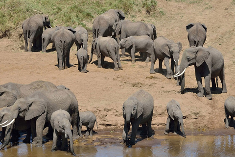 Safari de nuit dans le parc national d'Amboseli