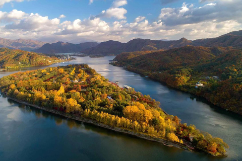 Nami Island & Seoul Highlights Private Tour for solo and couples
