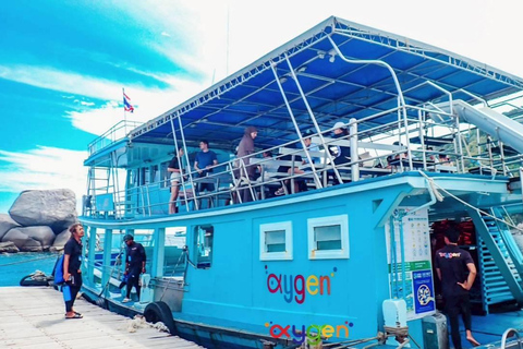 Koh Tao in a Day: Turtles, Hidden Reefs & Nangyuan Viewpoint
