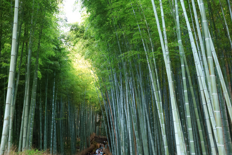 Osaka/Kyoto: Katsuoji & Arashiyama & Kinkakuji Day Tour 9:00 AM Depart from Kyoto