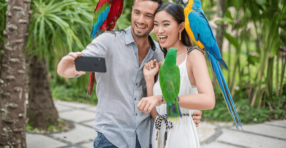 Bali: Bird Park Entry Ticket