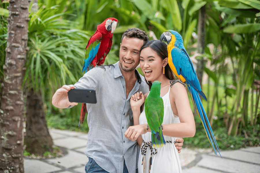 Bali: Eintrittskarte für den Bird Park. Foto: GetYourGuide Bali: Eintrittskarte für den Bird Park. Foto: GetYourGuide