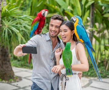 Bali Bird Park: 1-Day Admission Ticket