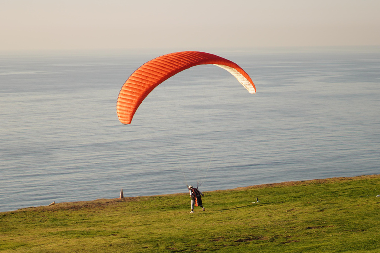 San Diego: Spiagge e scogliere: tour guidato autogestito