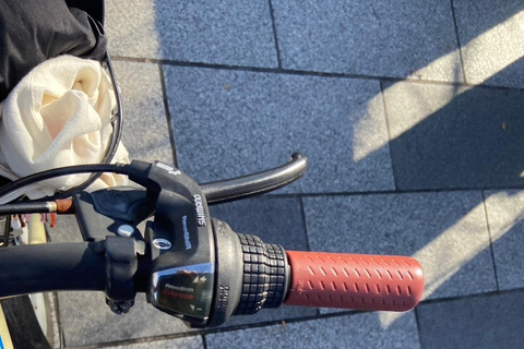 E-Bike Tour in Kyoto with Asuka, Japanese graduate student