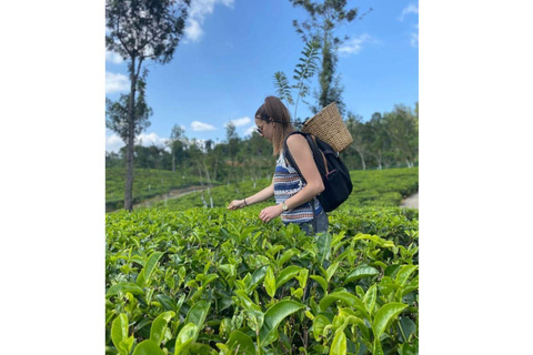 De Kandy a Nuwaraeliya en Tuk Tuk local