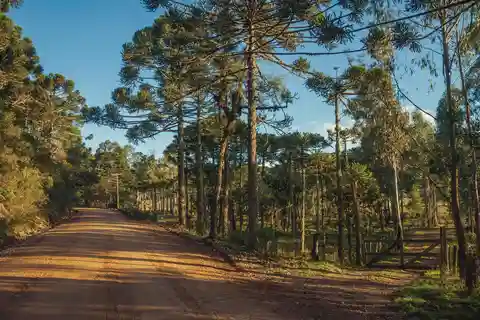 Itaimbezinho and Fortaleza Canyons 2 Days tour in English