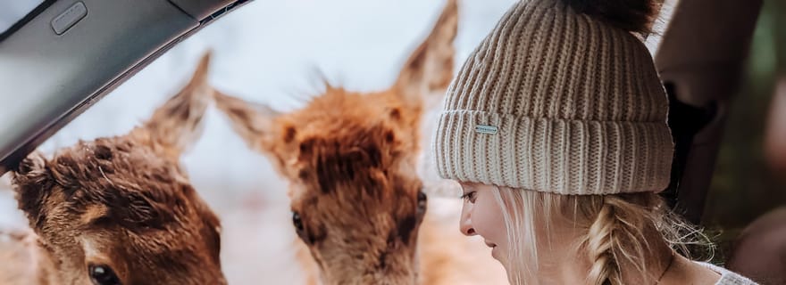Ottawa : Safari privé d'aventure faunique au Parc Omega