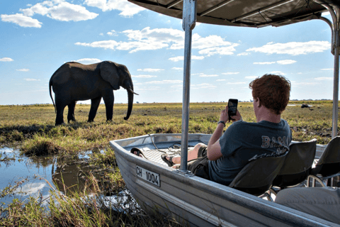 Chobe Full-Day Experience With Airport Pickups & Transfers