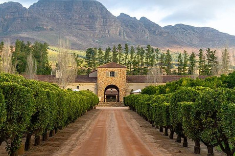 From Cape Town: Stellenbosch Wine Estates Tour with Tastings