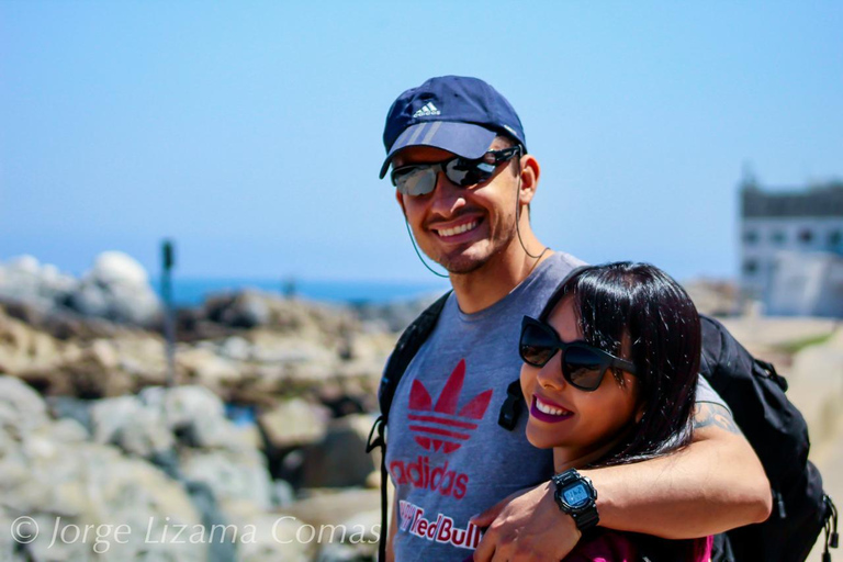 From Santiago: Full-Day Tour of Viña del Mar and Valparaiso