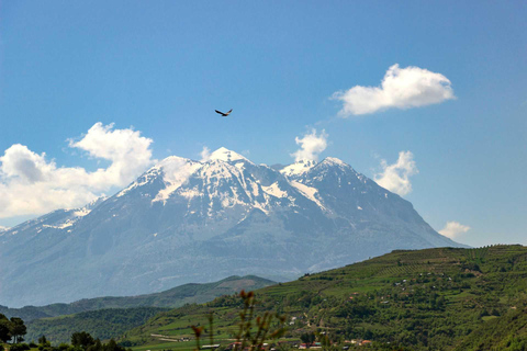 Durrës: Bogova Waterfall & Berat Hidden Quarters Day Tour