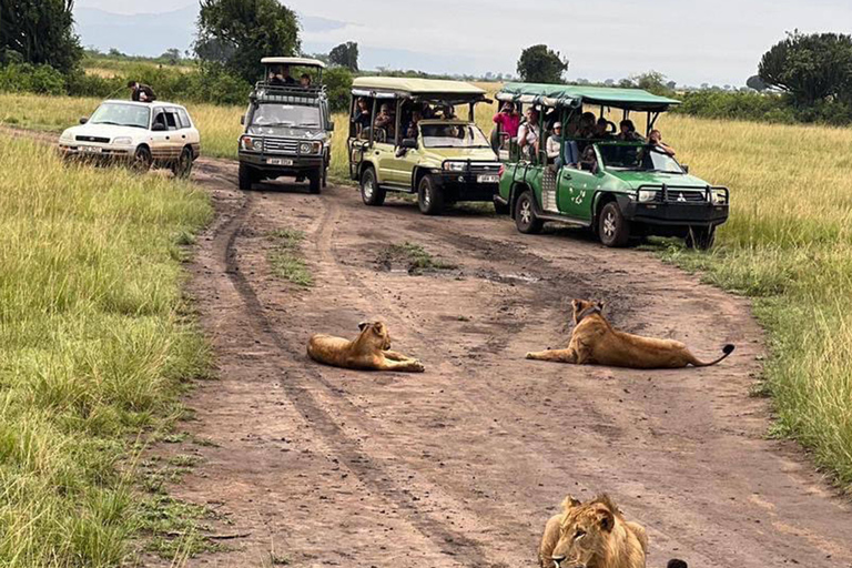Uganda: 9-Day Roundtrip with Chimpanzee Tracking