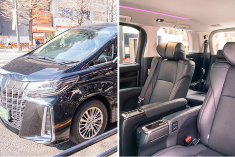 Your PERFECT Osaka Day - Custom Private Tour by Awarded Team 8 hours Public Transportation + Taxi