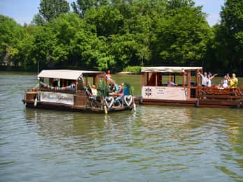 Stuttgart: Experiência em um bote com churrasco opcional