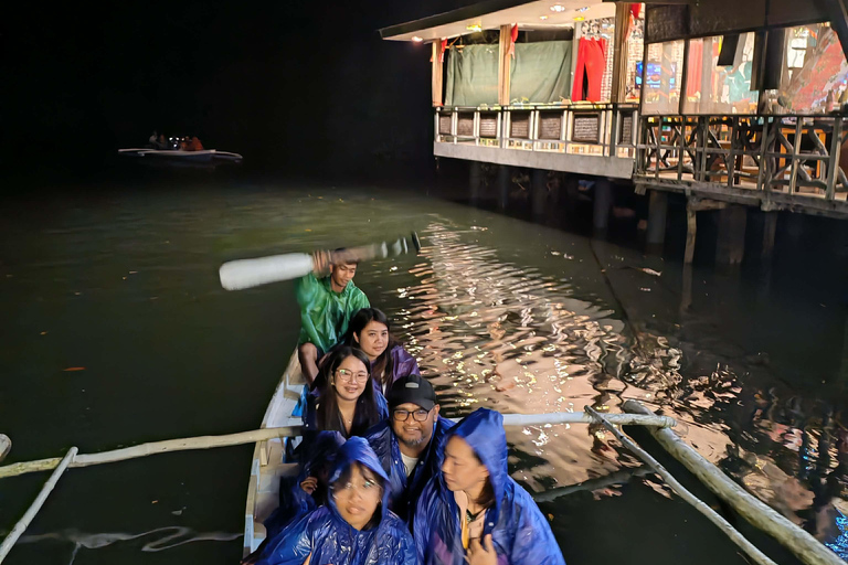 Puerto Princesa: Firefly Watching & Seasonal Plankton Tour Private Tour | Firefly Watching with Buffer Dinner