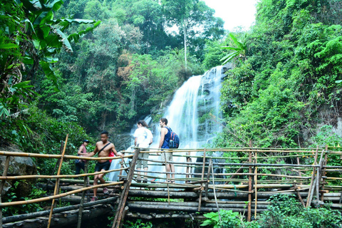 Vandring i Doi Inthanon nationalpark &amp; vandring på Pha Dok Siew Trail