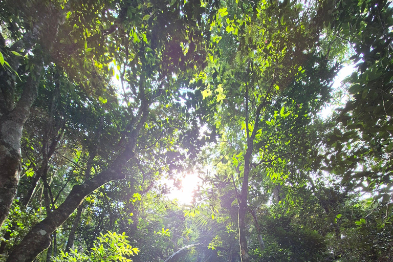 Paraty: Mamanguá Fjord Kayak and Hike Day Trip