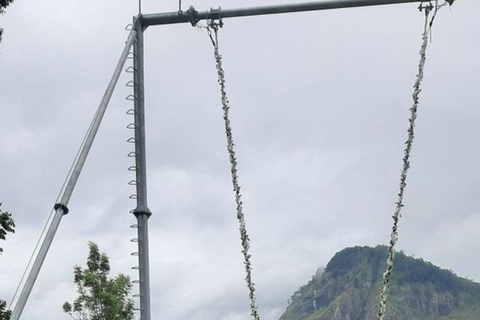 Ella: Ella Day Tour NineArch Bridge with Expert Female Guide Ella tour from Colombo, Negombo, Mt lavinia, Kalutara