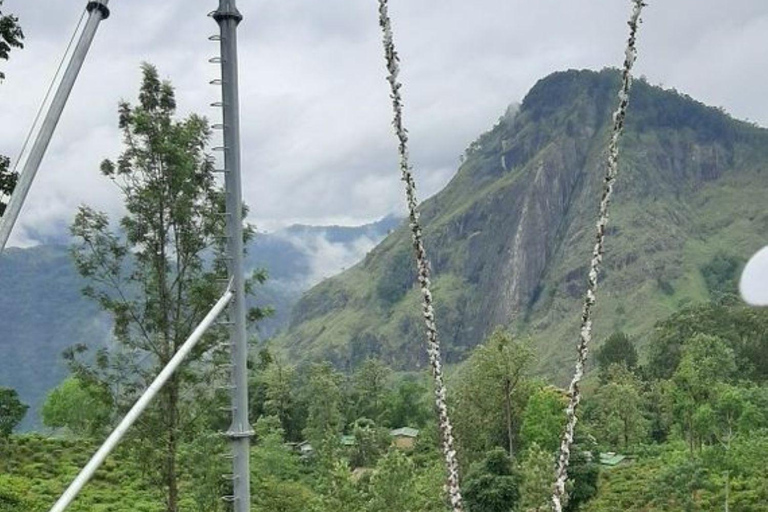 Ella: Ella Day Tour NineArch Bridge with Expert Female Guide Ella tour from Colombo, Negombo, Mt lavinia, Kalutara