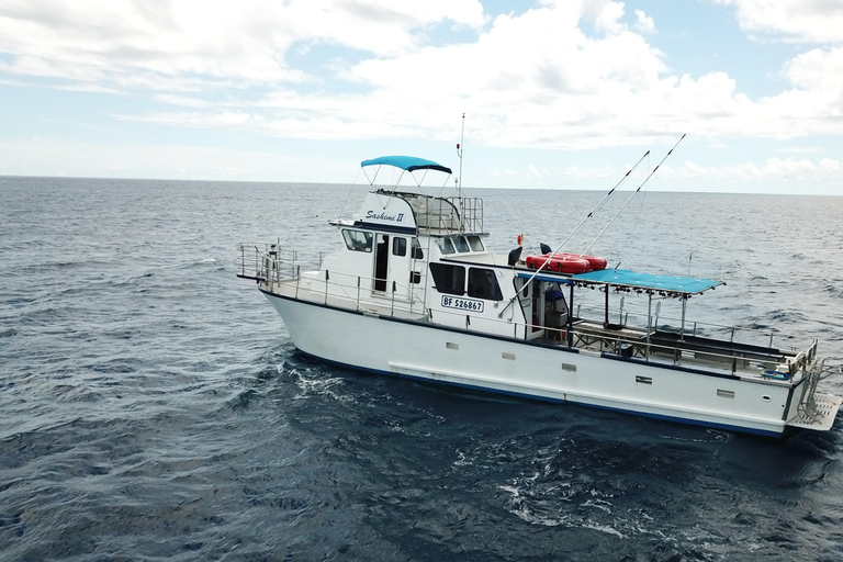 Aventura de pesca de fondo de 3 horas en Honolulu