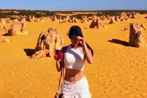 From Perth: Pinnacles, Sandboarding and Lobster Private Tour