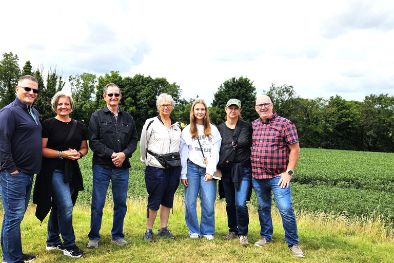 مقبرة نيوجرانج ممر نيوجرانج والمواقع الأيرلندية القديمة.