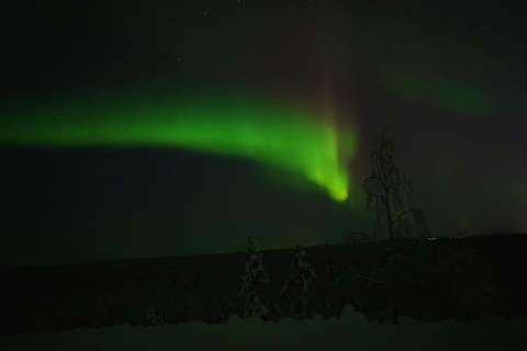 Northern Lights Rovaniemi Guaranteed & Unlimited KM Hunting