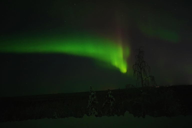 Northern Lights Rovaniemi Guaranteed & Unlimited KM Hunting