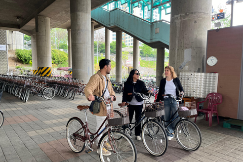 Seúl: Recorrido en Bicicleta por la Naturaleza Urbana del Río HanExcursión matinal en bicicleta