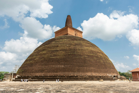 Sri Lanka: 10-Day Guided Tour with Airport Pickup