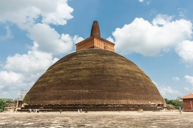 Sri Lanka: 10-Day Guided Tour with Airport Pickup