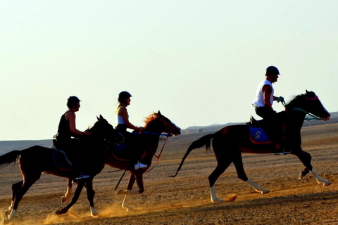 Marsa Alam: Reiten bei Sonnenuntergang mit Abendessen, Show und Sternenguckerei