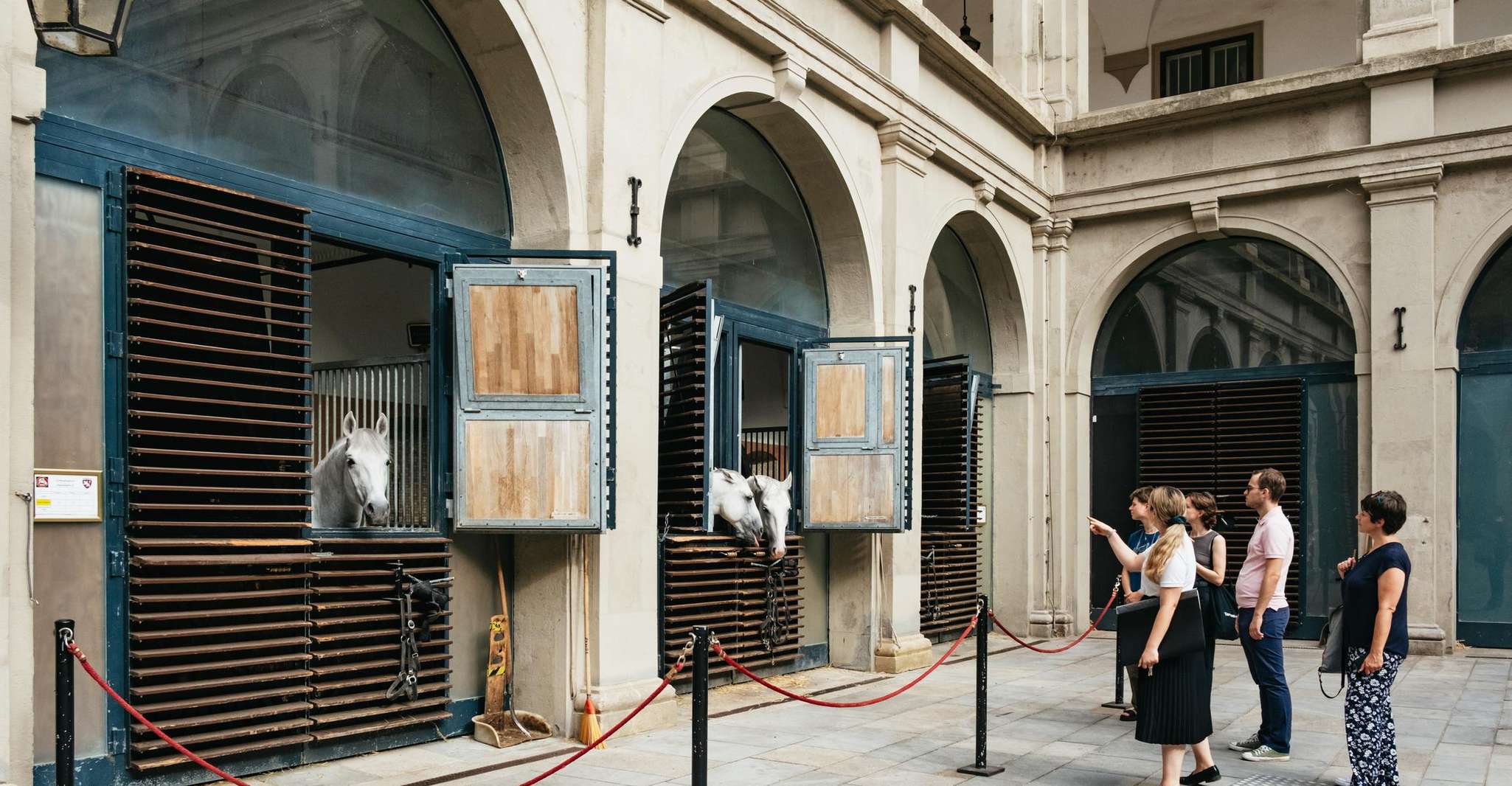 Vienna: Spanish Riding School Guided Architectural Tour